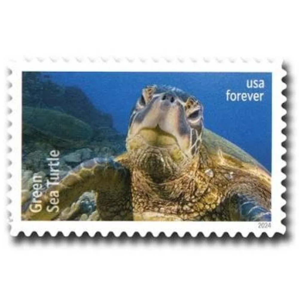90 Protect Sea Turtles Forever Postage Stamps USPS‎ Wedding Invitations 2024